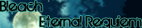 Bleach: Eternal Requiem banner