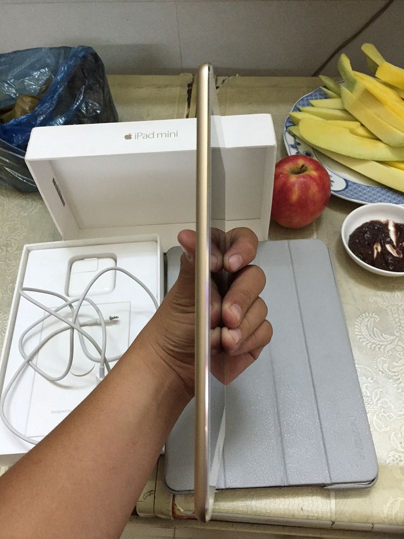 Bán iPad mini 4 Gold 16gb mua mới ở H2shop hồi cuối tháng 1/2016 - 2