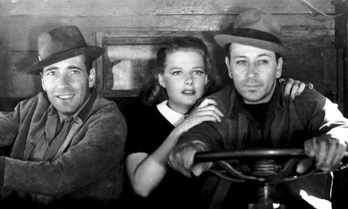 518376ba-ceb9-4927-ab67-ece29fe8c528_zps