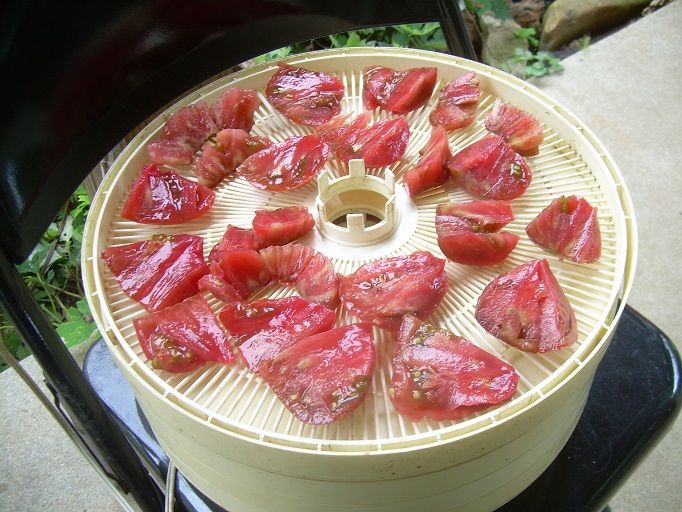 photo Tomatoes_04_zps8cbd4f0d.jpg