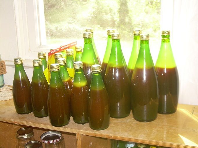 photo Tomatoes_06_zps03bc25ac.jpg