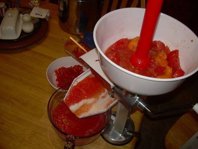 photo Tomatoes_10_zps4d16aaf7.jpg