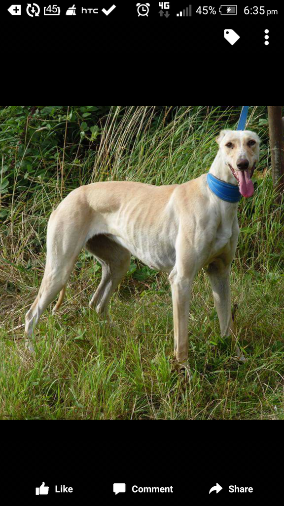 Screenshot_2015-08-21-18-35-27_zpsetdxb5