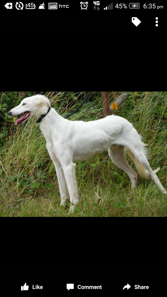 Screenshot_2015-08-21-18-35-34_zpsriu8jd