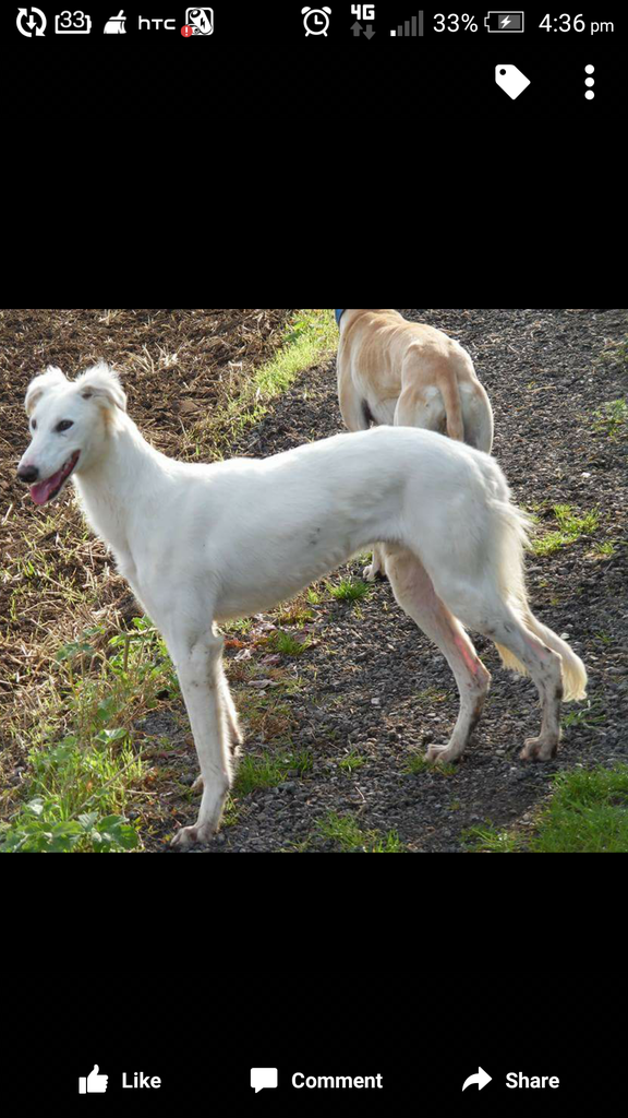 Screenshot_2015-08-22-16-36-50_zpsnx0ms3