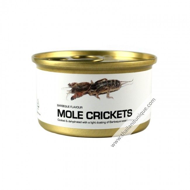 canned-mole-crickets-650x650_zpsx5884p9p.jpg