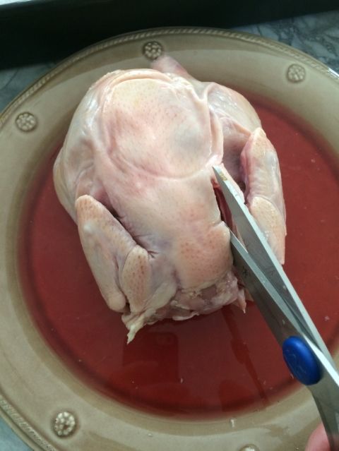 photo 989fc855-8cc9-4eca-bd53-00ffd95570f3_zpsf0c80e0cjpg