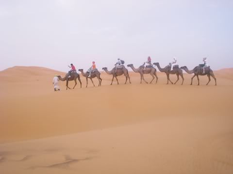 MARRUECOS INDESCRIPTIBLE - Blogs de Marruecos - Datros de interés. Primer día en Marrakech (1)