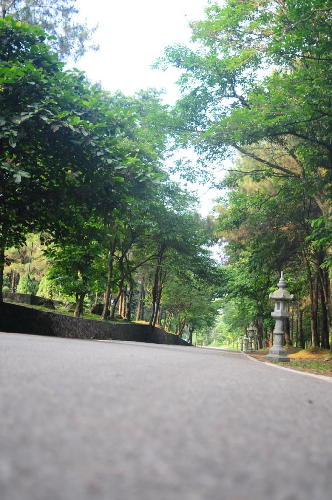 Yollar - Yol Resimleri (1. Katalog)